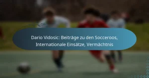 Read more about the article Dario Vidosic: Beiträge zu den Socceroos, Internationale Einsätze, Vermächtnis