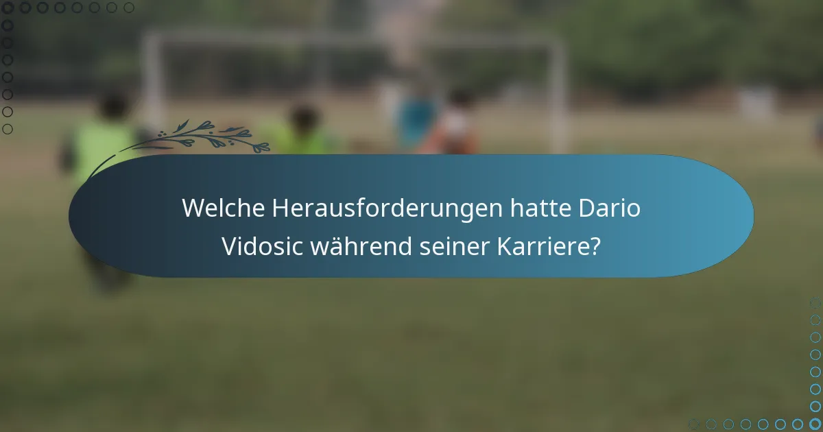 Welche Herausforderungen hatte Dario Vidosic während seiner Karriere?