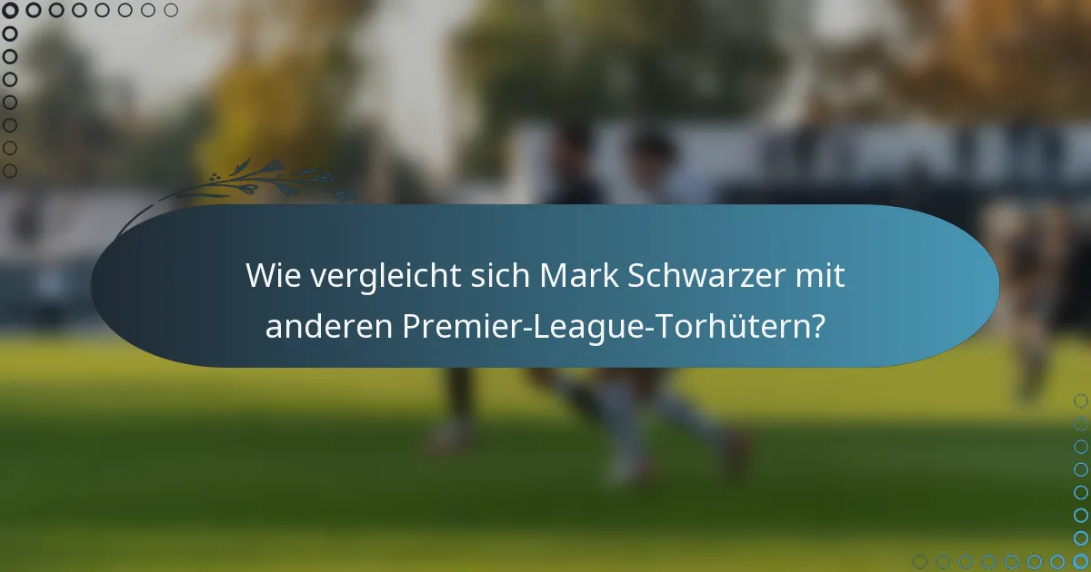 Wie vergleicht sich Mark Schwarzer mit anderen Premier-League-Torhütern?